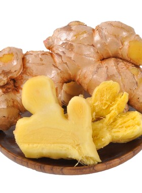 云南正宗小黄姜高原种植猪脚姜月子姜现挖老姜食用姜种子批发新鲜