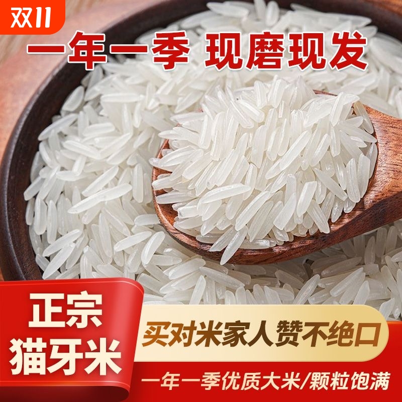 猫牙米2025新米长粒香米现磨生态梯田米软糯香米真空包装