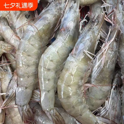 鲜活冷冻白对虾盐冻单冻大虾 海捕白虾生鲜海鲜水产速冻海虾