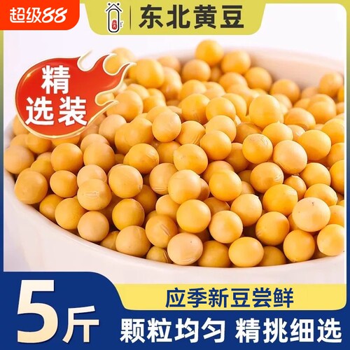 东北当季农家黄豆非转基因豆子