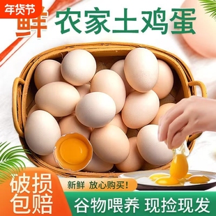 正宗新鲜土鸡蛋农家散养放养杂粮无激素一整箱批发笨鸡蛋破损包赔