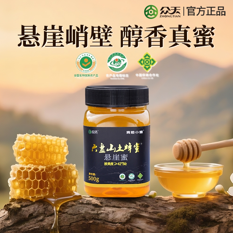 众天六盘山土蜂蜜悬崖蜜深山纯正天然野生农家自产正宗500g