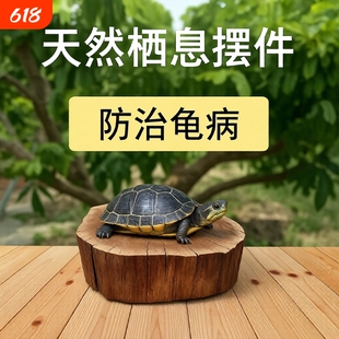 乌龟爬台免煮龙眼木晒背天然沉木栖息龟缸造景摆件生态造景防腐甲