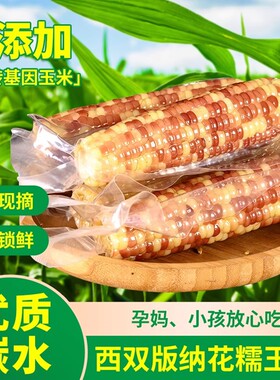 云南西双版纳香糯小玉米粗粮糯玉米棒真空新鲜花糯包谷现摘早餐