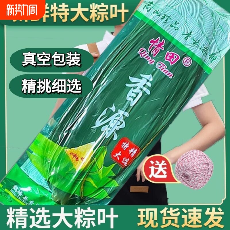 粽叶新鲜粽子叶新鲜大号棕叶包粽子专用叶子芦苇干批发商用旗舰店