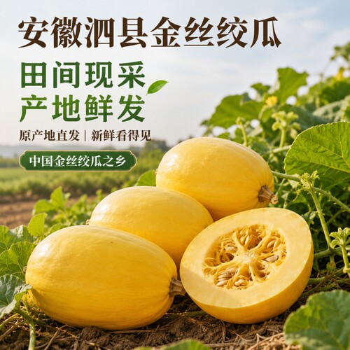 好念头安徽泗县金丝绞瓜特产新鲜即食蔬菜正宗应季源头凉拌