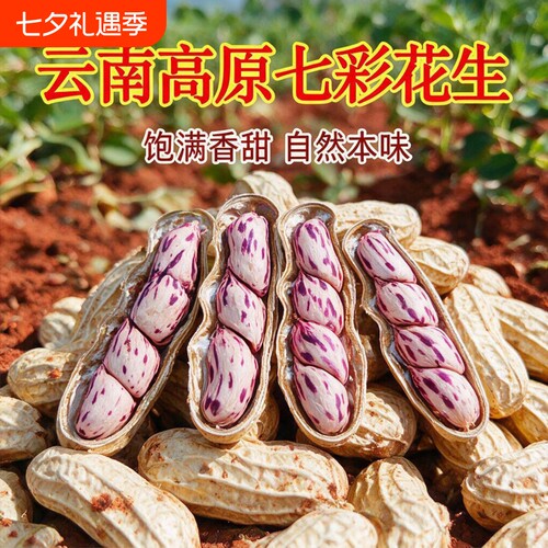 正宗云南七彩花生当季新鲜新货七彩花生米零食晒干五彩牛奶花生米