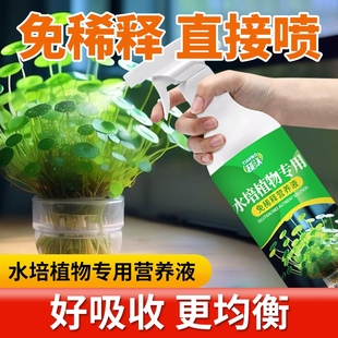 水培植物营养液富贵竹专用水养转运竹巴西木郁金香种球绿萝花肥料