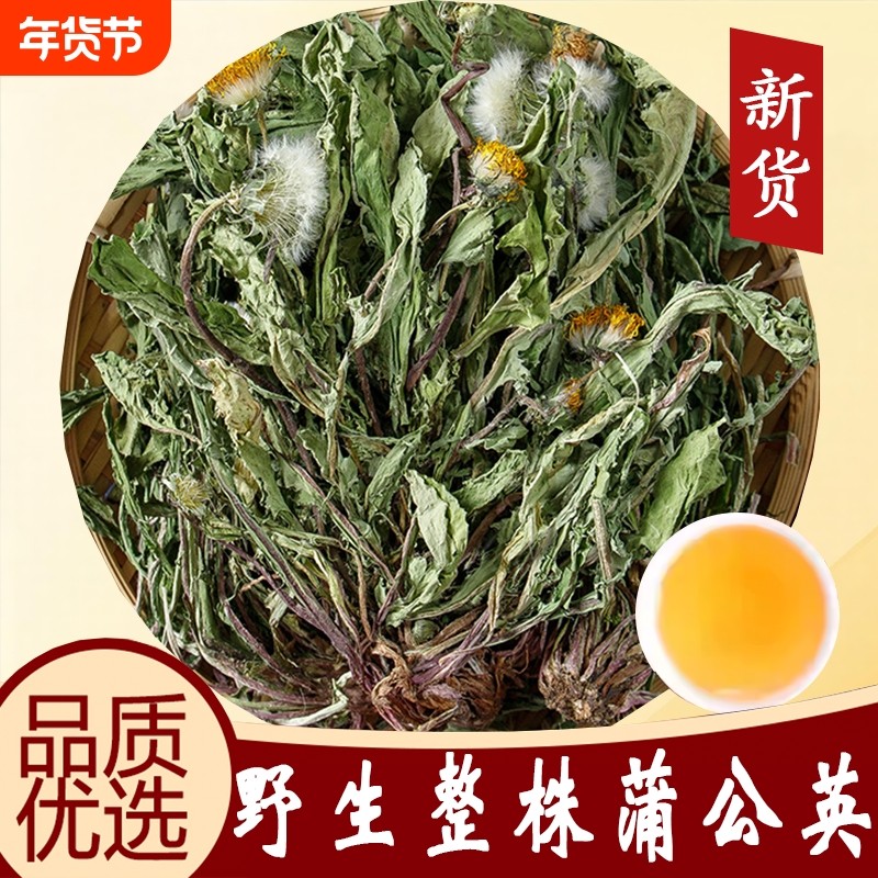 蒲公英中药材正品官方旗舰店新鲜干草天然野生整颗婆婆丁茶泡水喝