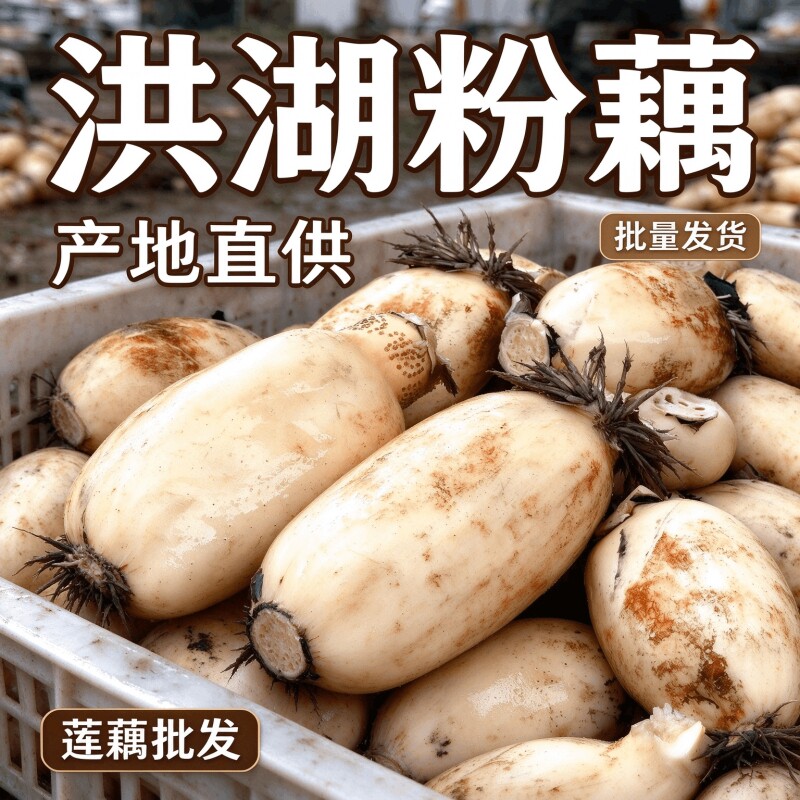 洪湖粉藕湖北特产新鲜现挖精选中段粉糯莲藕农家原生态种植煲汤藕