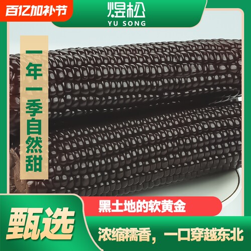 东北黑糯玉米富含花青素真空包装