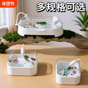 寄居蟹小型生态造景饲养缸养乌龟专用饲养箱排水过滤带晒台防逃逸