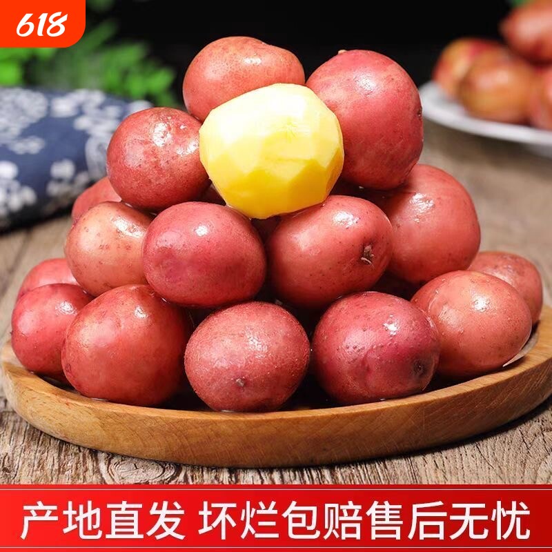 新鲜2026红皮黄心农家自种迷你小土豆高山马铃薯新鲜蔬菜洋芋包邮