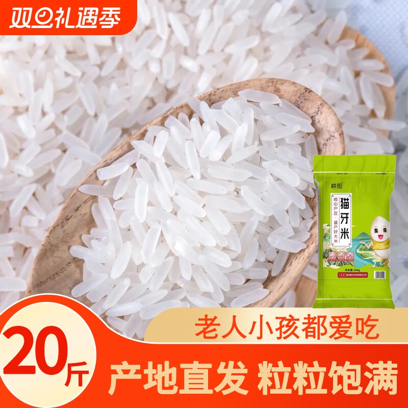 南方大米丝苗米10斤/20斤当季新米晚稻米猫牙香米长粒家用米饭