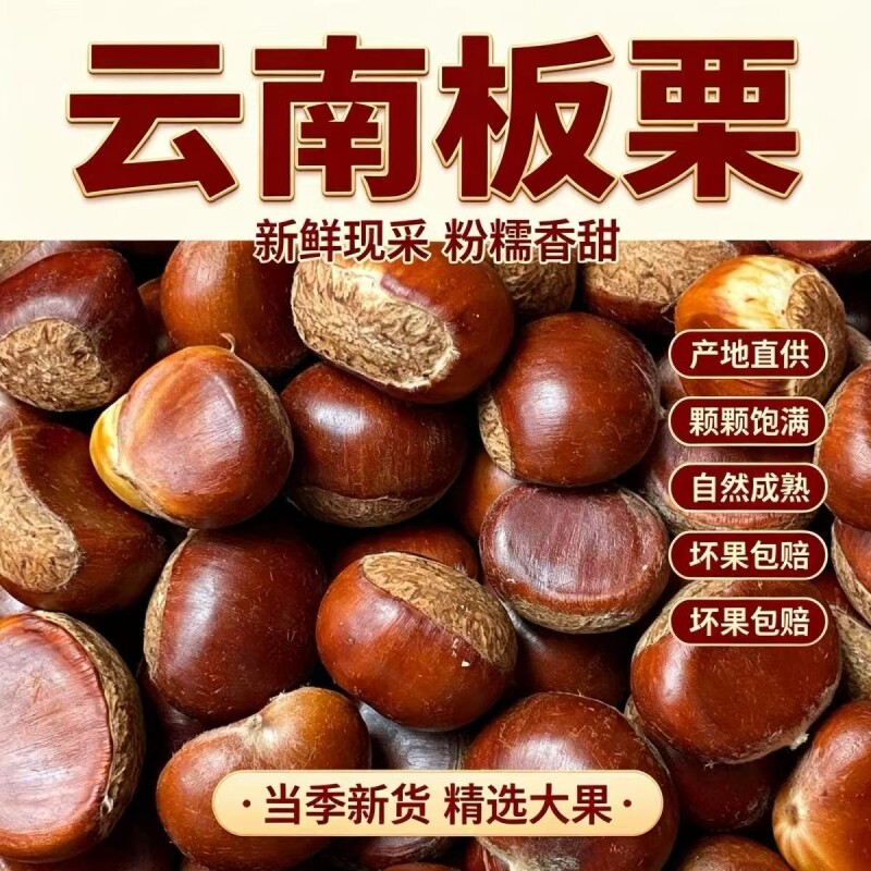 云南新鲜板栗正宗栗子野生新货批发老树油栗高山甜糯板栗