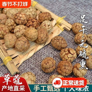 广西精选品质中草寇老蔻商用正宗散装草豆蔻卤肉炖肉脱骨草寇草蔻