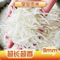 米古辣香米大米广西御贡长粒象牙香米新米超长粒米饭真空现磨软糯