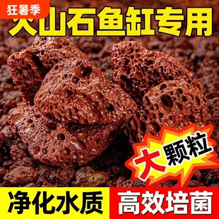 火山石鱼缸专用颗粒天然滤材造景底砂材料大块过滤石肥料溪流多肉