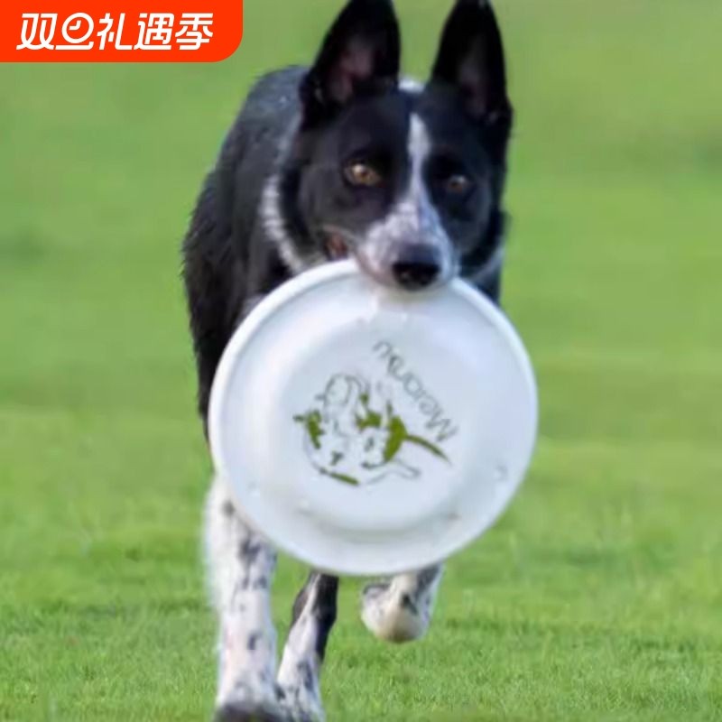 狗狗赛级标准飞盘飞盘狗比赛专业飞盘耐咬飞碟宠物玩具边牧训练盘