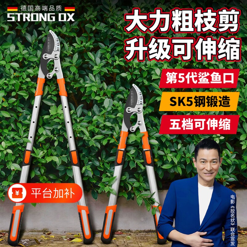 德国进口园林工具剪粗枝剪果树修枝强力树枝剪大力剪省力修剪神器