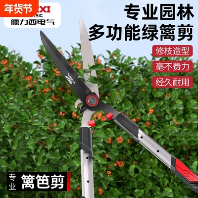 德力西电气修剪树枝剪刀园艺修枝剪果树园林修枝专用大剪刀植物