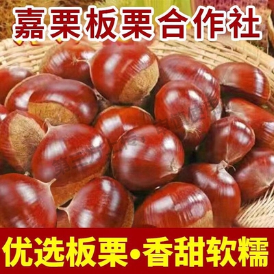 2025正宗丹东板栗生新鲜粟子油栗