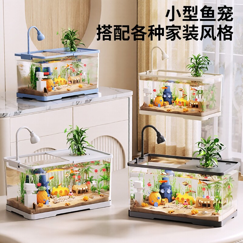 阔庭桌面生态鱼缸2024新款过滤增氧一体机客厅小型摆件生态金鱼缸