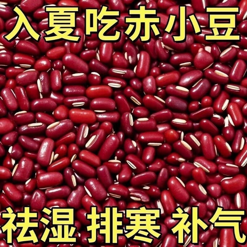赤小豆红豆新鲜货农家自产长粒赤豆薏米粥早餐香浓五谷杂粮红小豆
