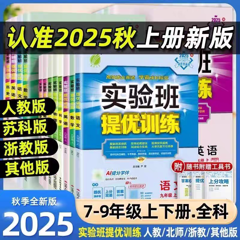 初中实验班提优训练同步练习
