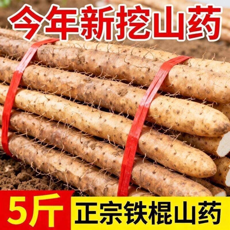铁棍山药新鲜5斤淮山药河南焦作温县正宗铁杆山药现挖山药怀山药9