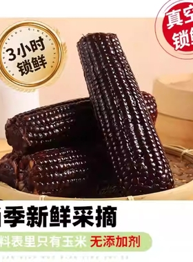 2025山西新鲜甜糯真空包装大玉米棒黄色速食早餐绿色认证8根大棒