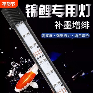 鱼缸灯照明灯led防水潜水灯三基色水族箱龙鱼灯管灯光增艳龙鱼灯