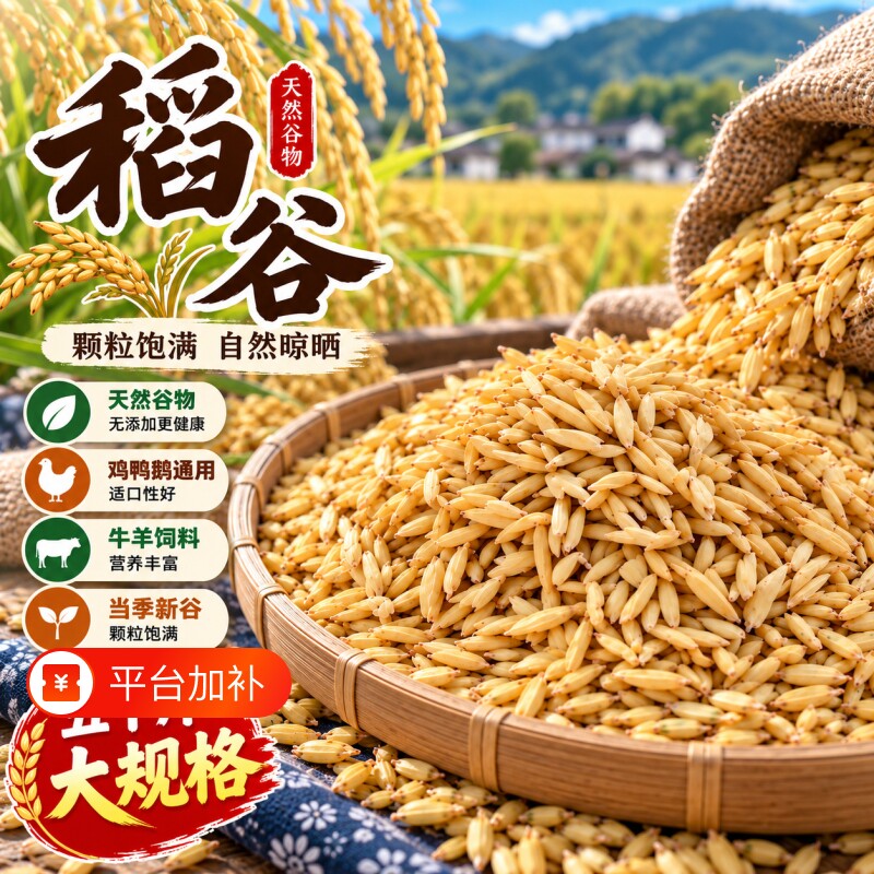 农家稻谷水稻稻子带壳粮食喂鸡鸭鹅鸽鸟仓鼠宠物饲料带壳大米谷子