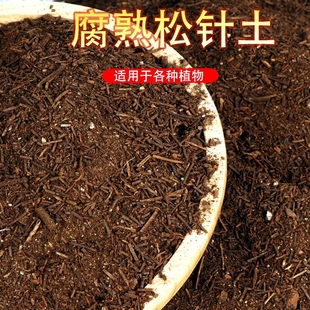 松针腐殖土营养土种花种菜有机土壤园艺肥料腐叶土天然腐殖松针土