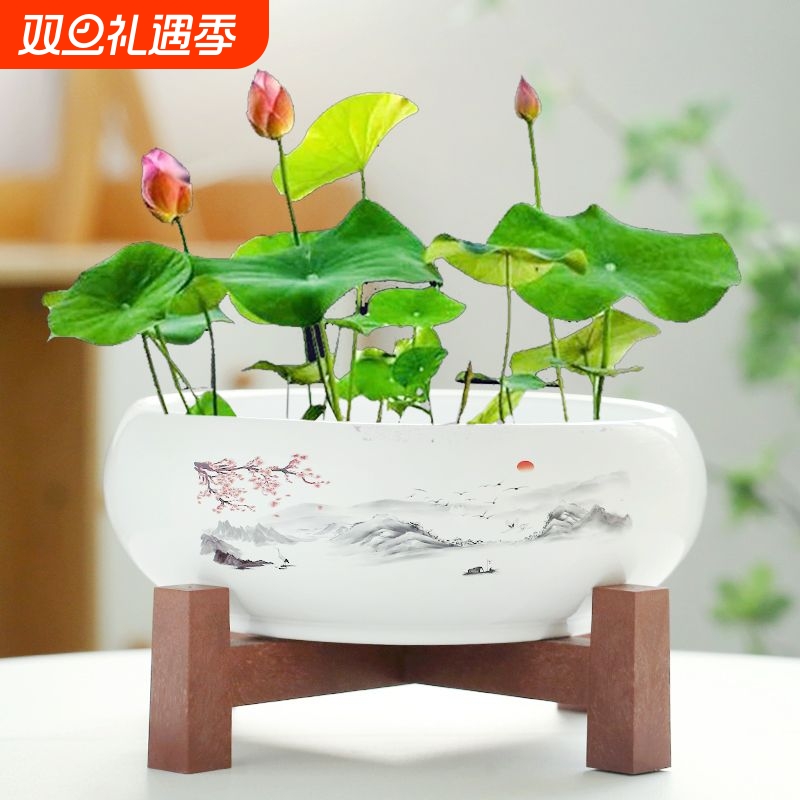 水仙花盆陶瓷铜钱草水培睡莲碗莲金钱草专用盆缸无孔大带底座客厅