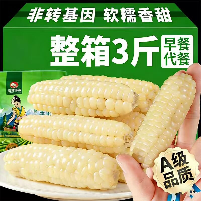 云南拇指玉米西双版纳香糯玉米新鲜甜糯手指宝宝孕妇即食早餐香甜