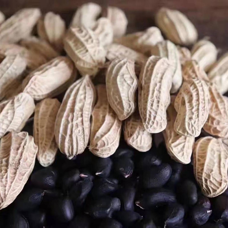 新货特价】2025年云南黑花生新货