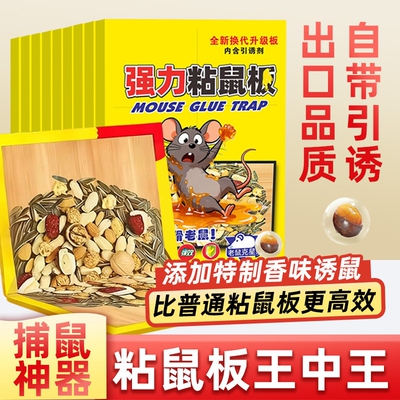 【出口品质】粘鼠板王中王黏胶大老鼠自带引诱巨粘型家用捕鼠神器