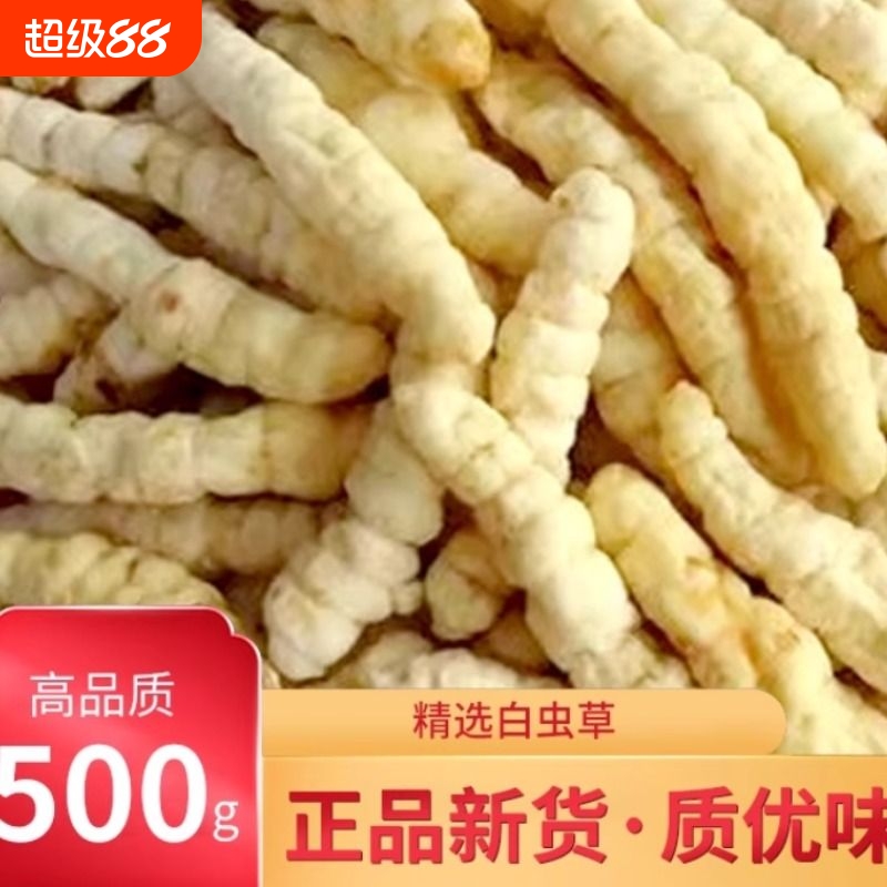 白虫草500g草石蚕药材特级地蚕中土虫草参非云南泽兰根