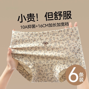 内裤女士纯棉A类婴儿棉抑菌加长裆碎花中腰少女生三角短裤抗菌