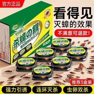 第强效端一名虫卵双杀灭除杀蟑胶饵专用 蟑螂药家用非无毒全窝正品
