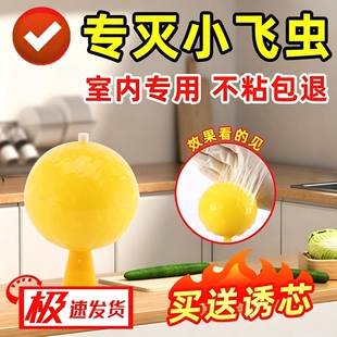 果蝇诱捕器小飞虫室内去除克星灭杀飞虫神器蚊虫诱苍蝇蠓虫粘虫球