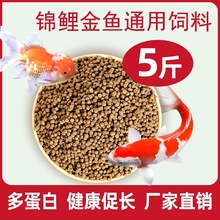 鱼食锦鲤鱼饲料金鱼专用小颗粒草金兰寿通用鱼粮观赏鱼鱼料大颗粒