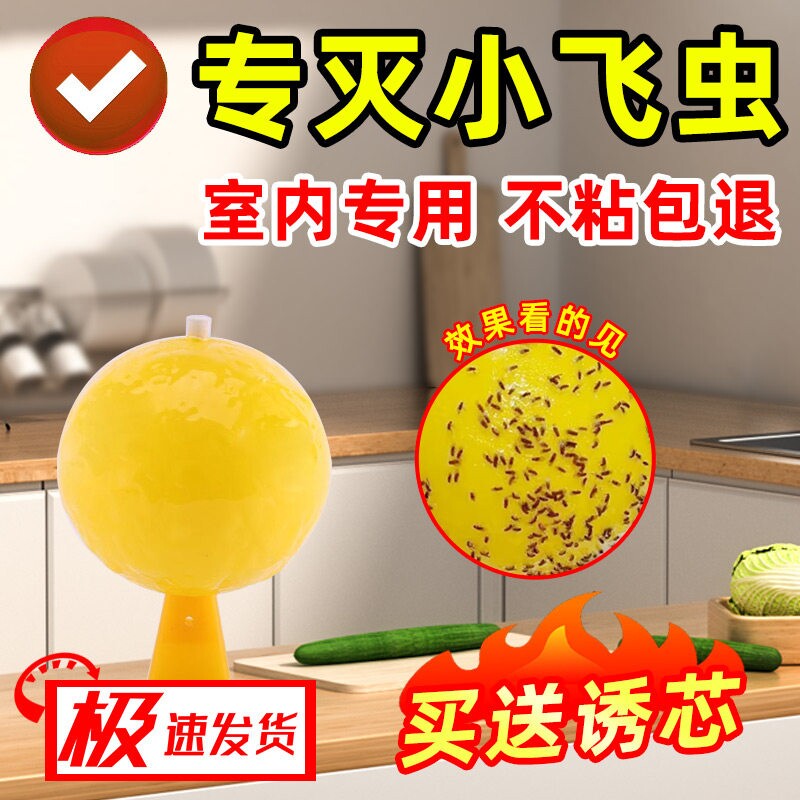 果蝇诱捕器室内去除小飞虫克星灭杀飞虫神器蚊虫诱苍蝇蠓虫粘虫球