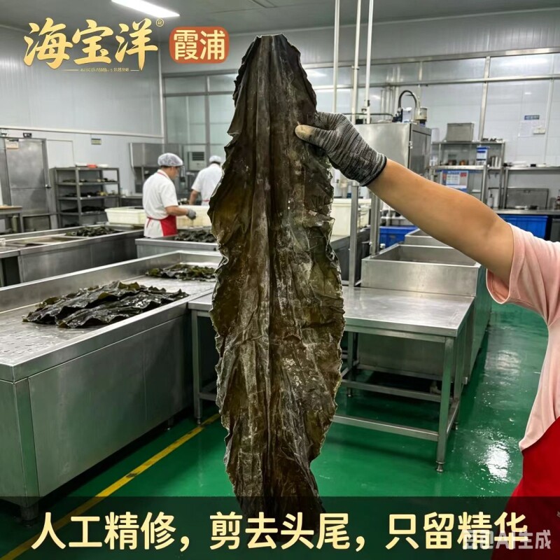 特级干海带中段炖汤凉拌福建霞浦500g干货厚实无沙去尾日晒精选
