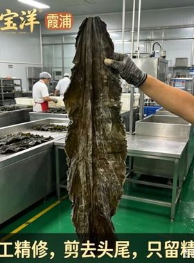 特级干海带中段炖汤凉拌福建霞浦500g干货厚实无沙去尾日晒精选