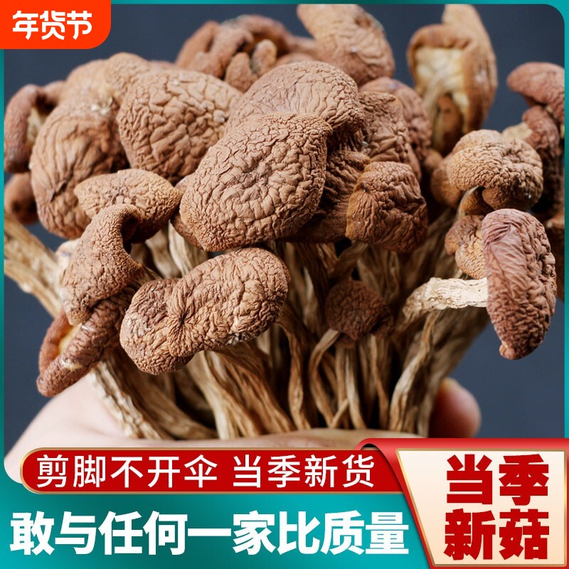 2024古田农家茶树菇干货甄选不开伞切根新鲜香菇蘑菇250g新货