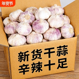 【促销新蒜】金乡新干蒜紫白皮山东大蒜特批发当季新晒干蒜特大果