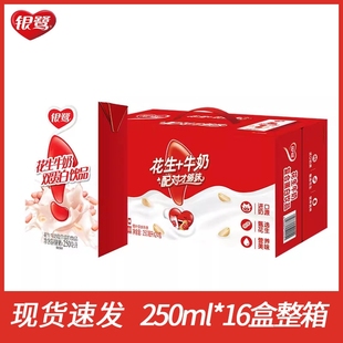 11月花生牛奶250ml*16整箱早餐奶学生奶花生奶饮料正品银鹭饮品