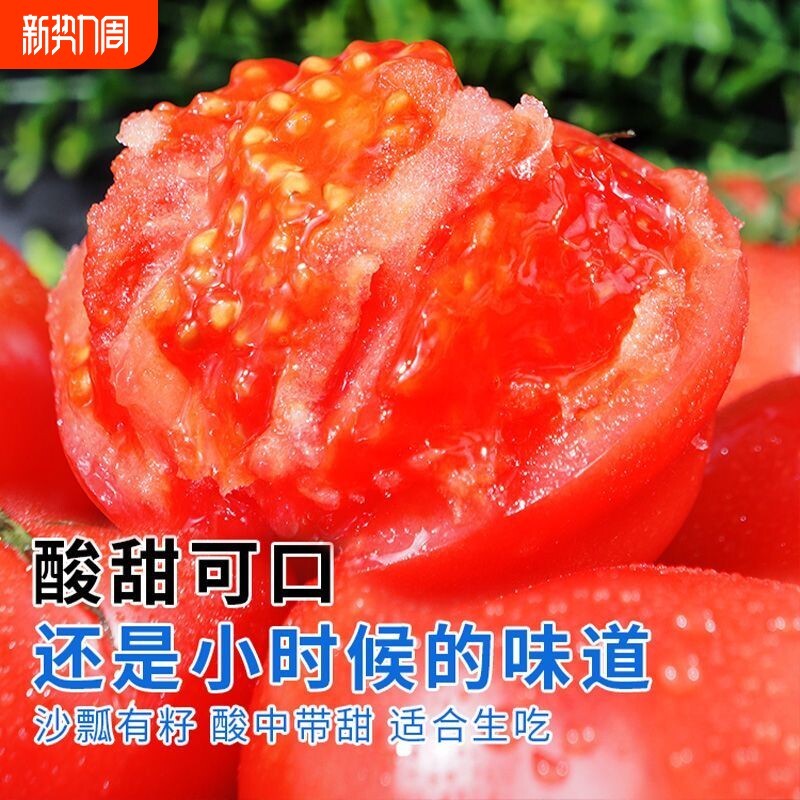 当季生吃西红柿新鲜多汁沙瓤番茄减脂期大番茄自然熟特色大果口感